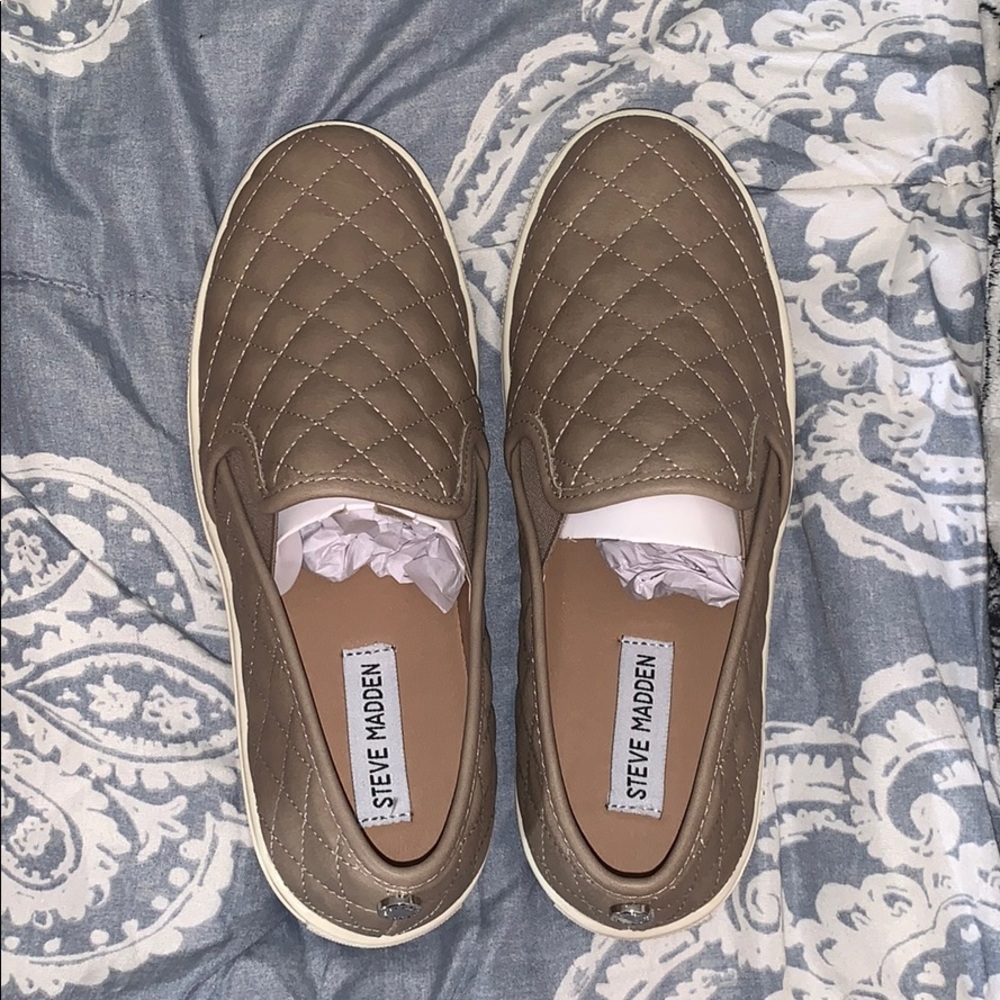 Steve Madden shoes